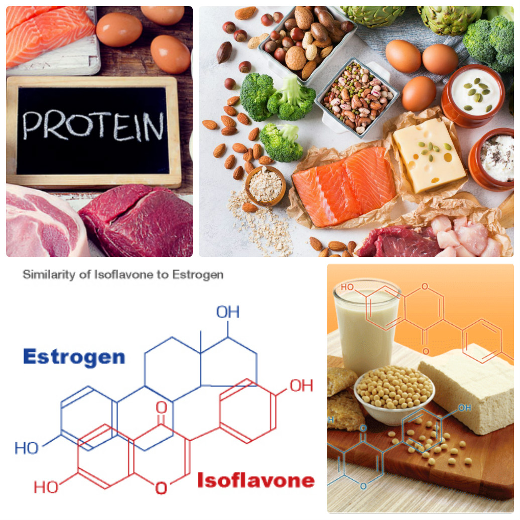 Protein, isoflavone...là những chất quan trọng để tăng vòng 1