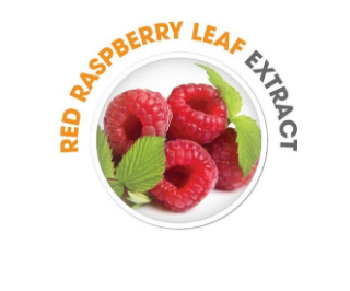 Red Raspberry Leaf