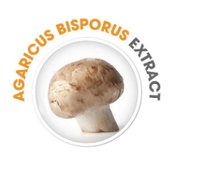 Nấm Agaricus Bisporus